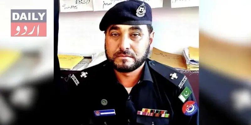 دہشتگردی