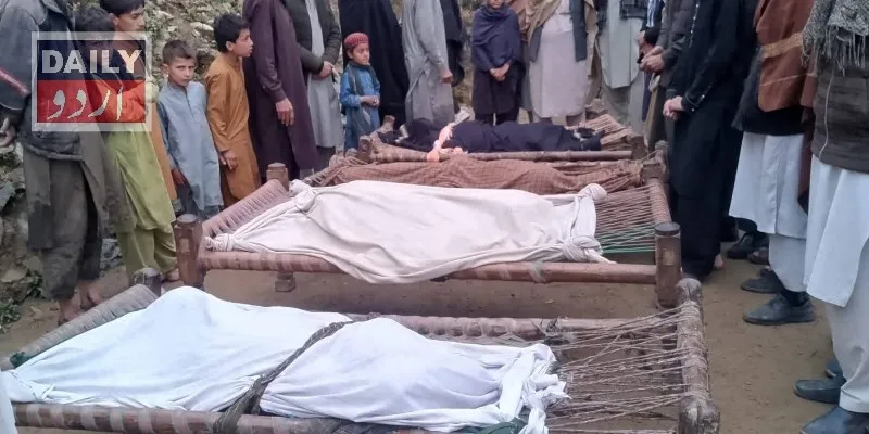 دہشتگردی