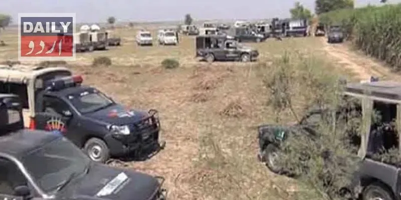 دہشتگردی