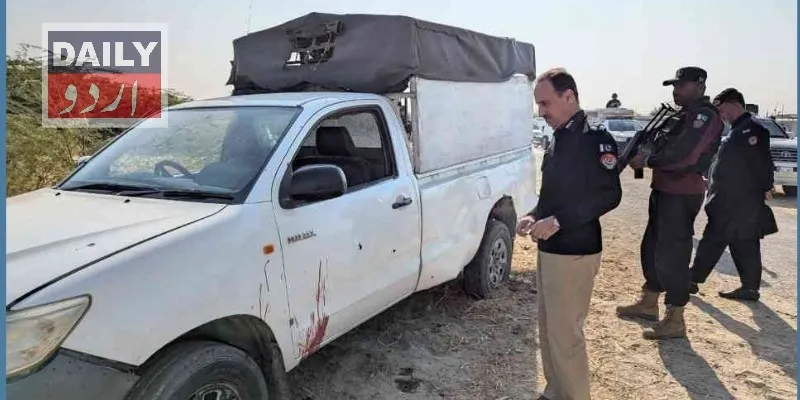 دہشتگردی