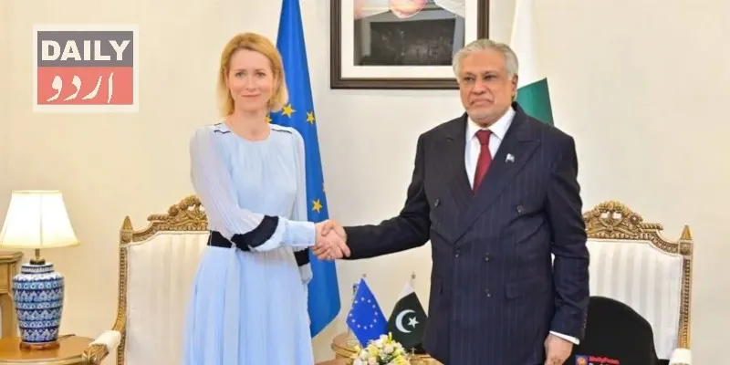 سیاست
