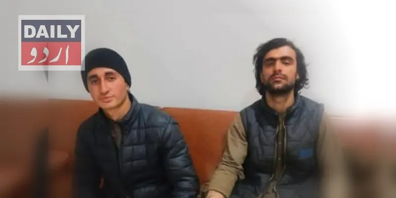 دہشتگردی