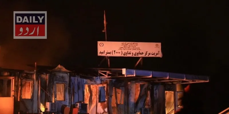 دہشتگردی