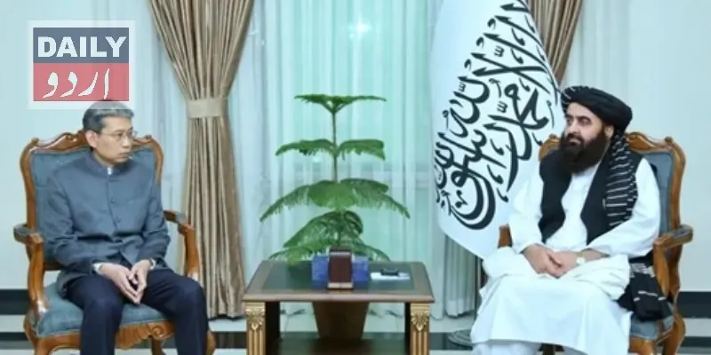 دہشتگردی
