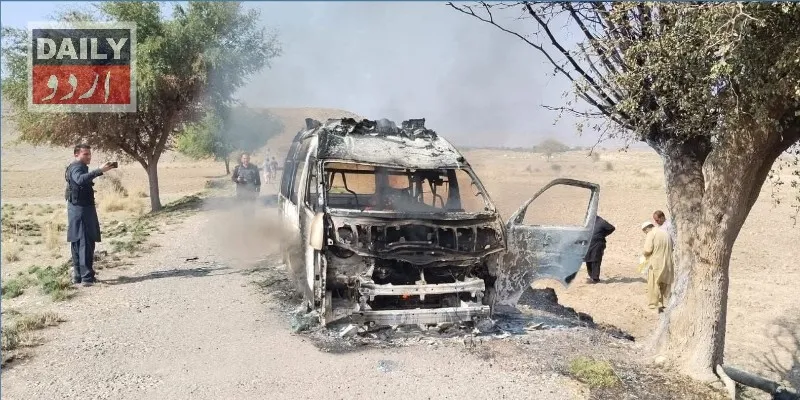 دہشتگردی