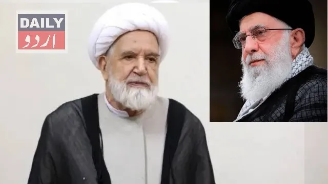 سیاست