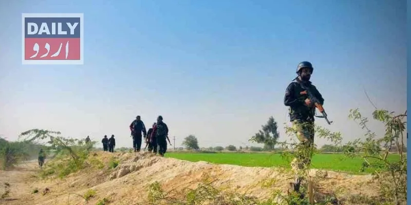 دہشتگردی