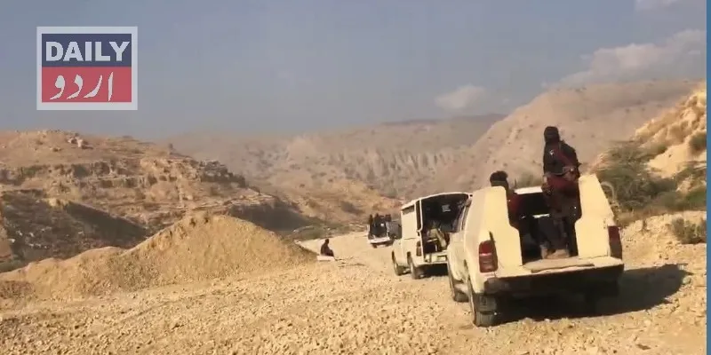 دہشتگردی