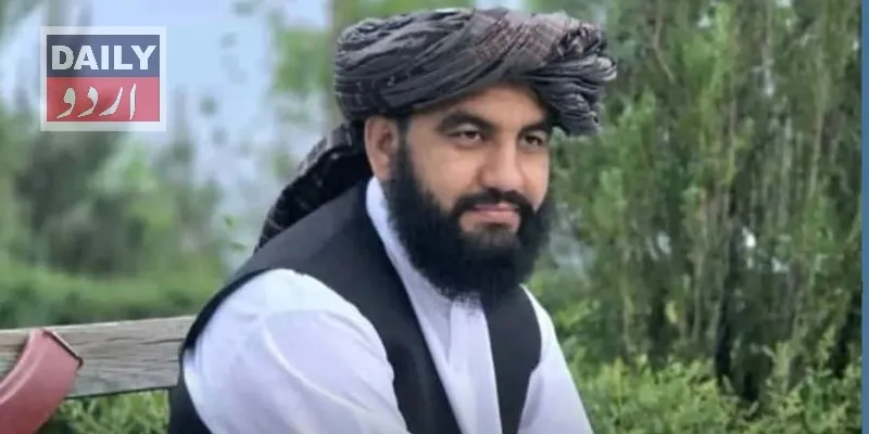 دہشتگردی