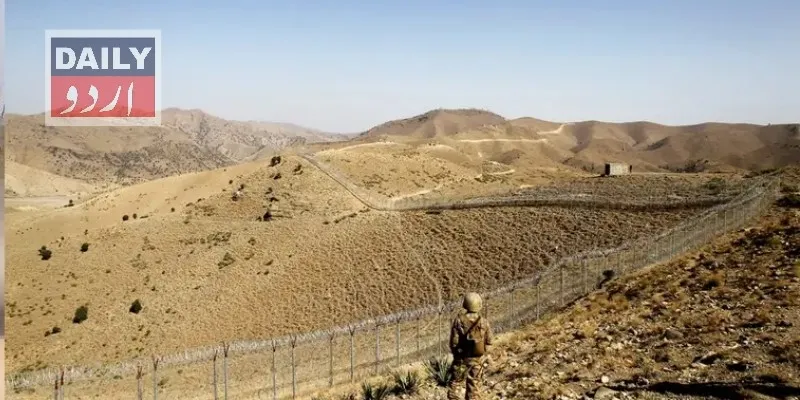 دہشتگردی