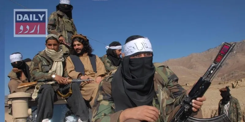 دہشتگردی