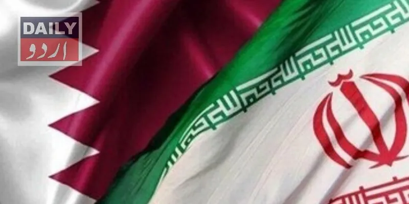 سیاست