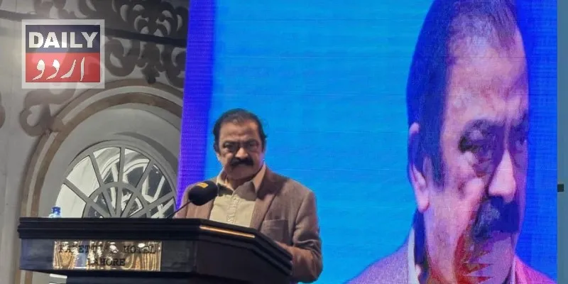 سیاست