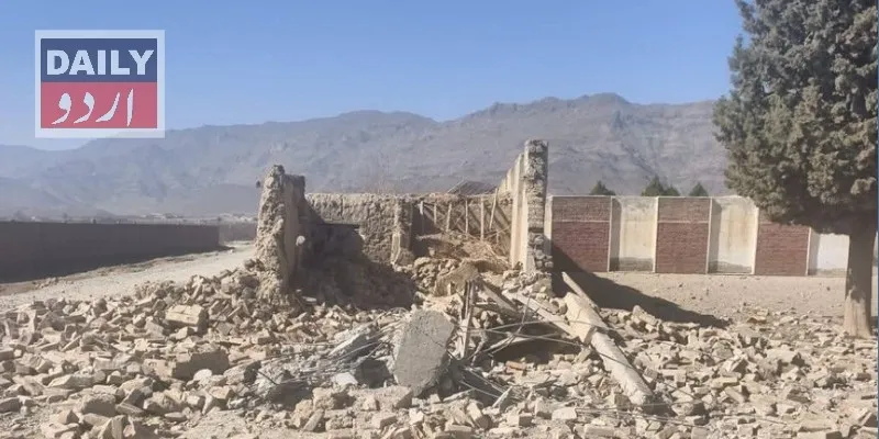 دہشتگردی