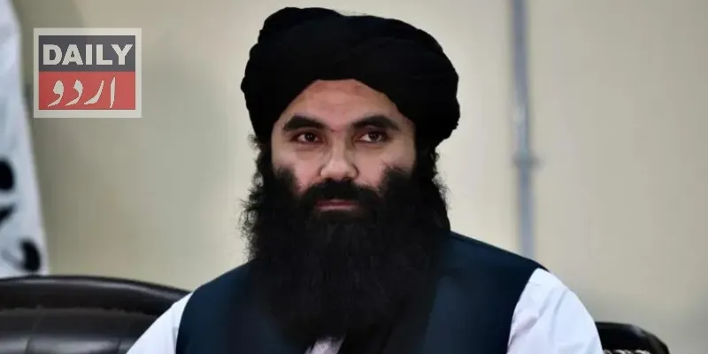 دہشتگردی