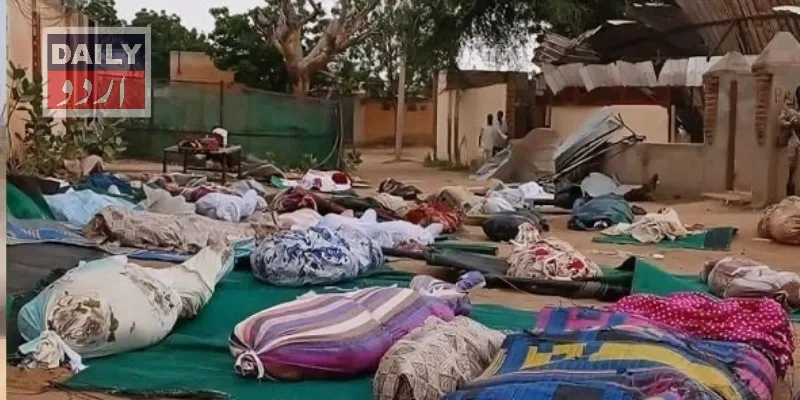 سیاست