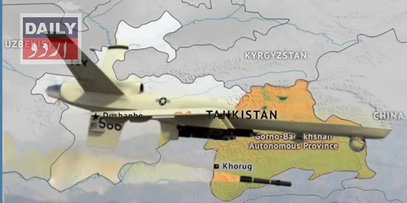 دہشتگردی