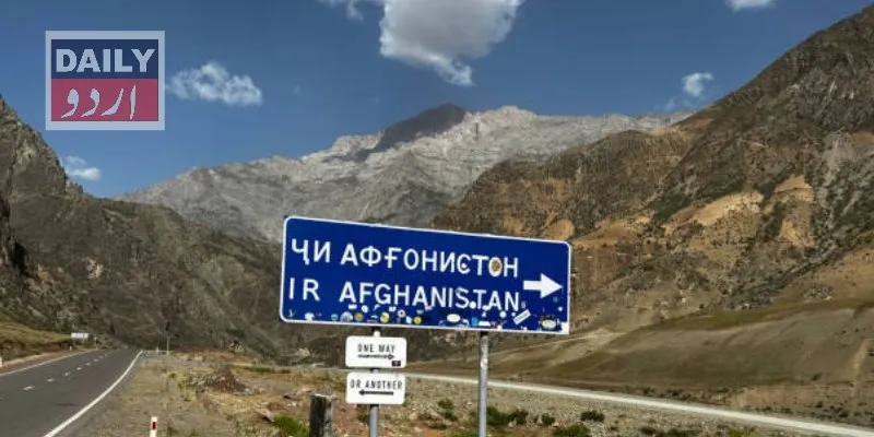 دہشتگردی