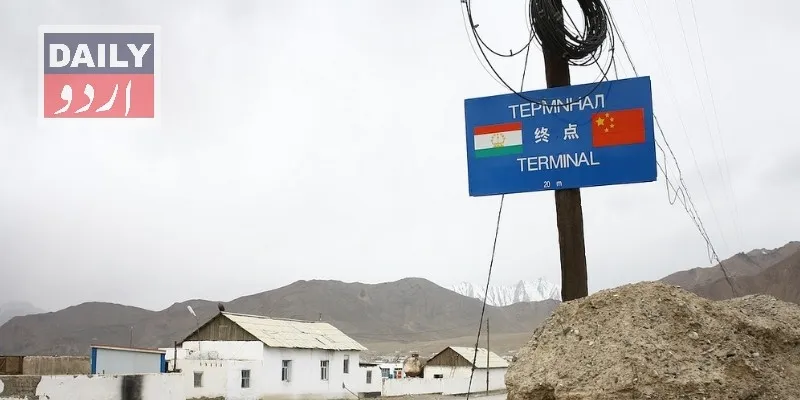 دہشتگردی
