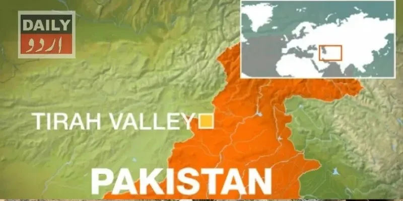 دہشتگردی