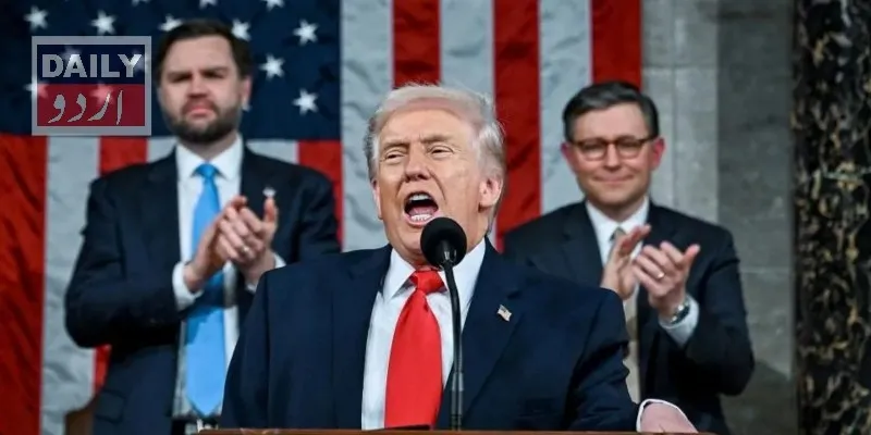 سیاست