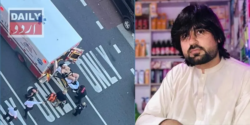 سیاست
