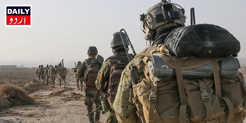 دہشتگردی