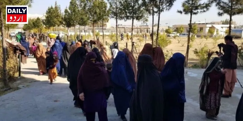 دہشتگردی