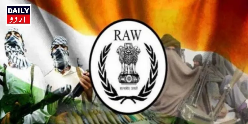 دہشتگردی