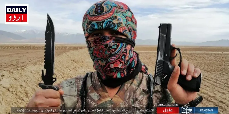 دہشتگردی