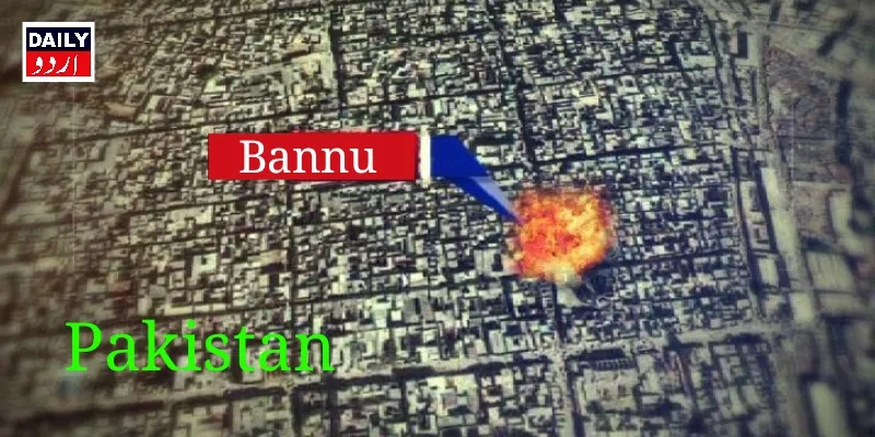 دہشتگردی