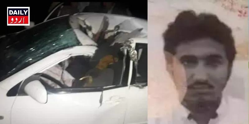 دہشتگردی