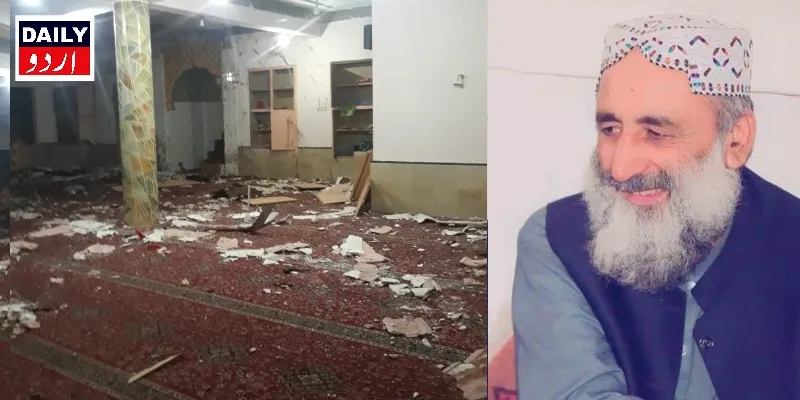 دہشتگردی