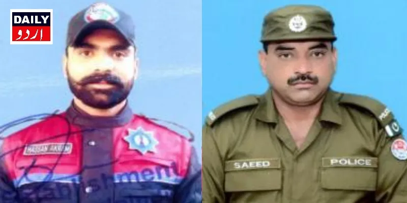دہشتگردی