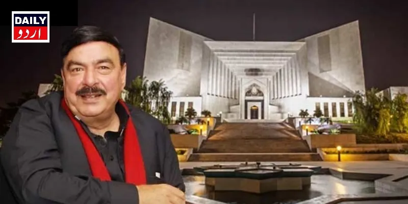 کورٹس
