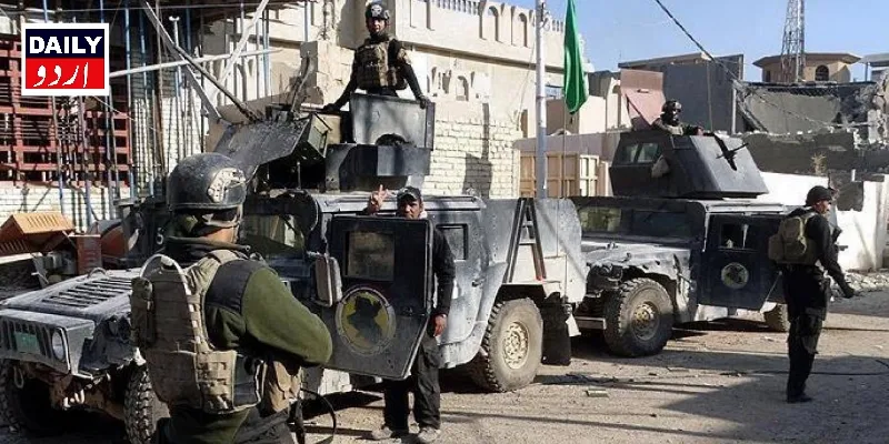 دہشتگردی