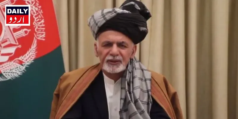 دہشتگردی
