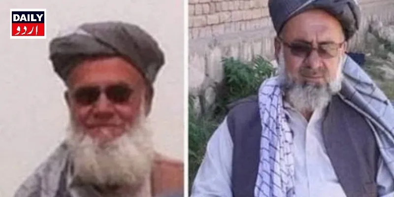 دہشتگردی