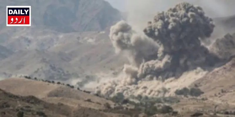 دہشتگردی