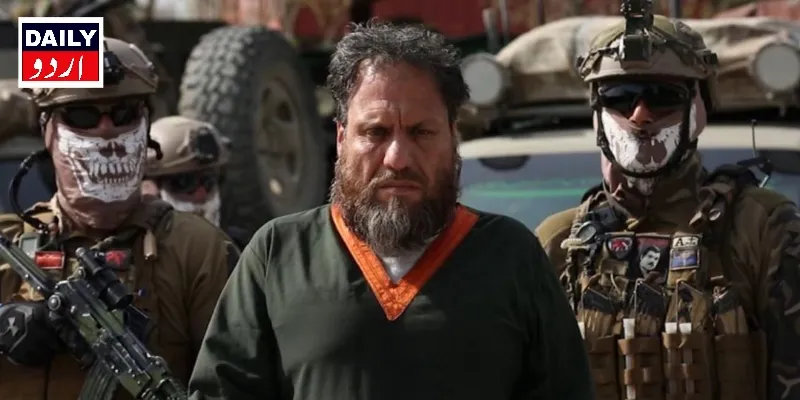 دہشتگردی