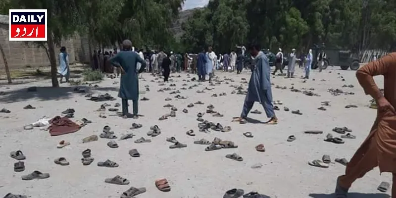 دہشتگردی