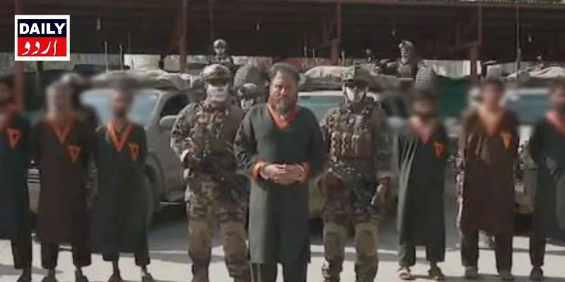 دہشتگردی