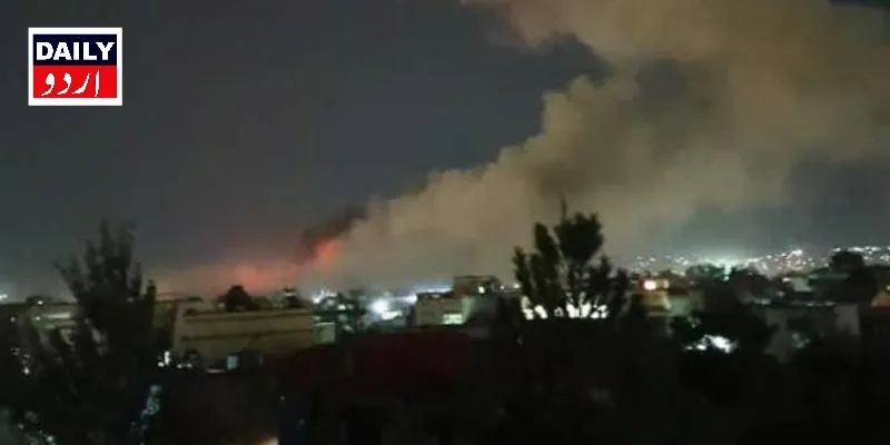دہشتگردی