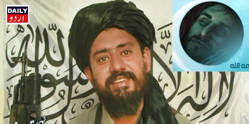 دہشتگردی