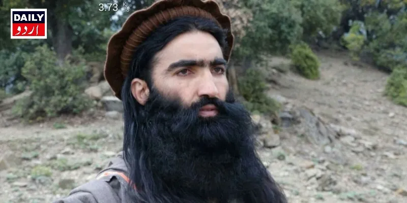 دہشتگردی