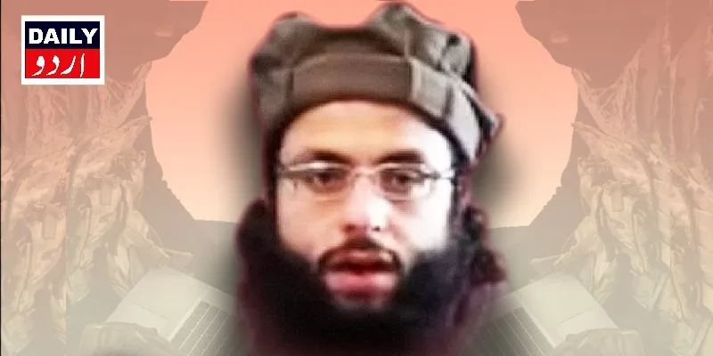 دہشتگردی