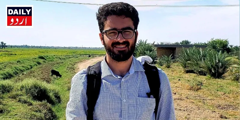 کورٹس