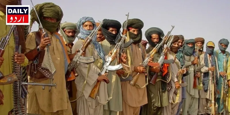 دہشتگردی