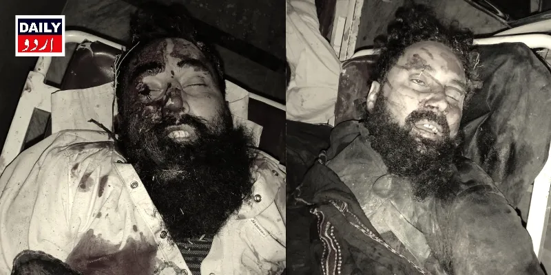 دہشتگردی