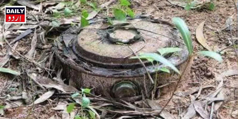 دہشتگردی